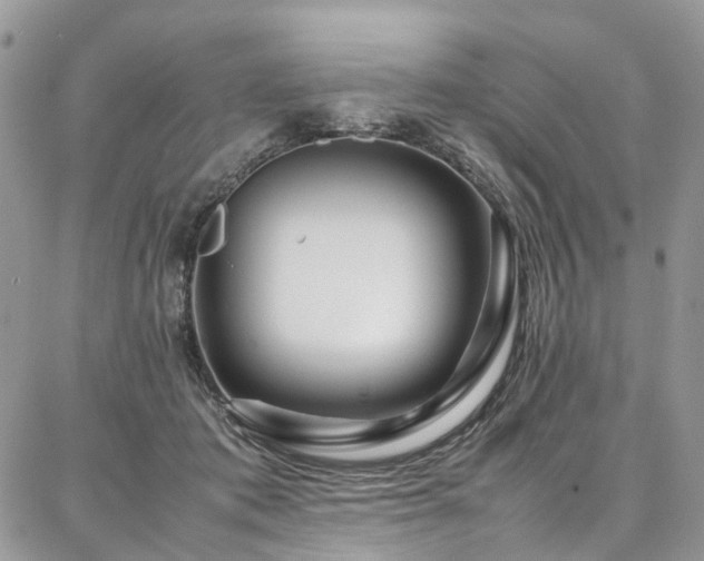 X0000087360413200704201152