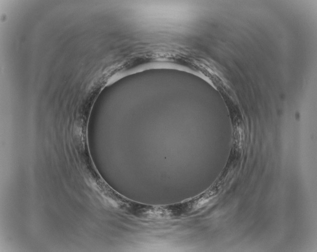 X0000087360415200704201152