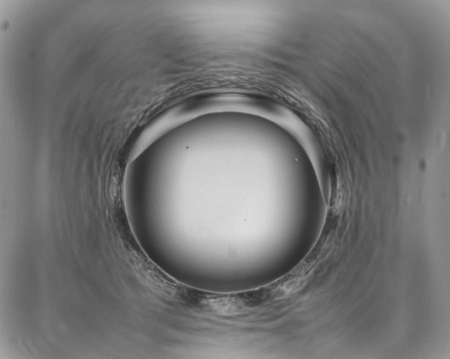 X0000087360417200704201152