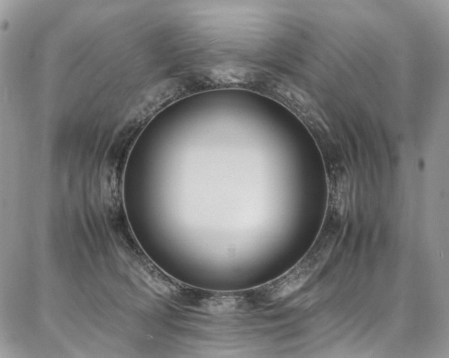 X0000087360418200704201152