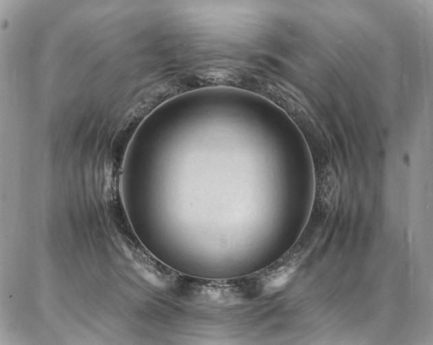 X0000087360420200704201152