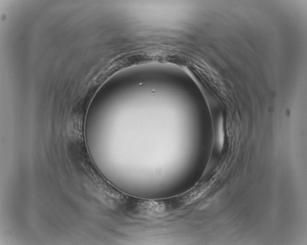 X0000087360421200704201152