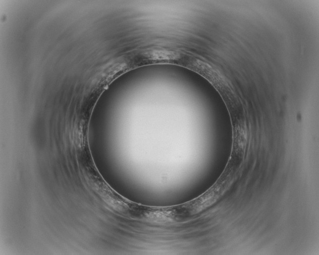 X0000087360422200704201152