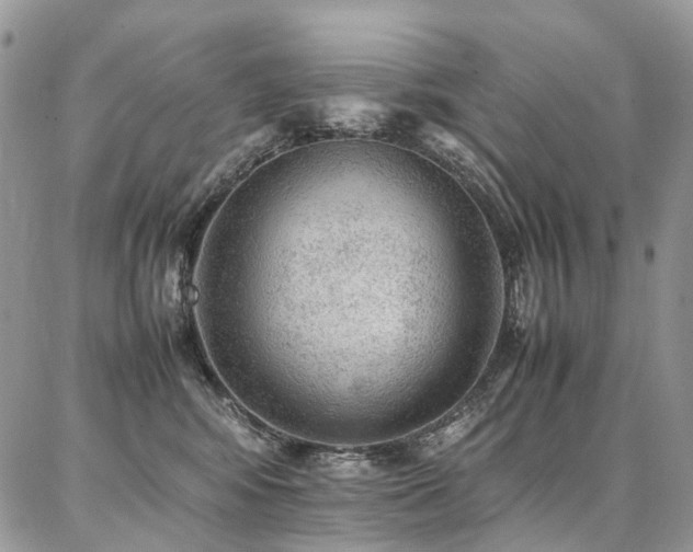 X0000087360424200704201152