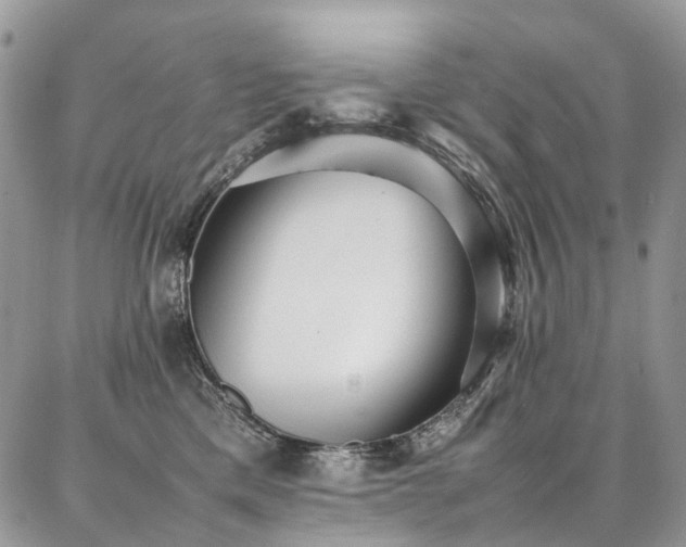 X0000087360425200704201152