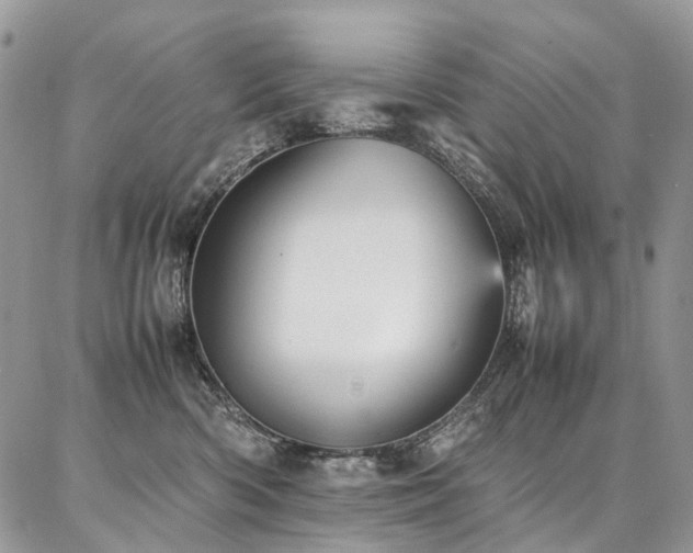 X0000087360426200704201152