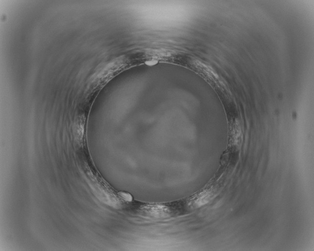 X0000087360427200704201152