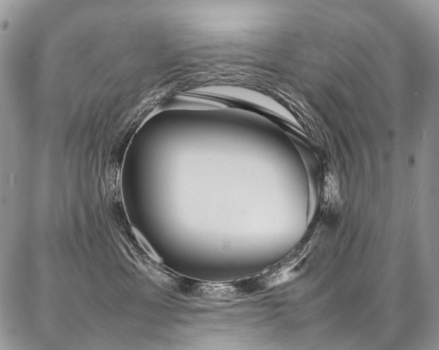 X0000087360429200704201152