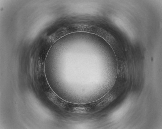 X0000087360430200704201152