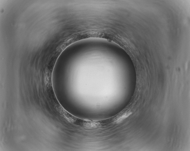 X0000087360432200704201152