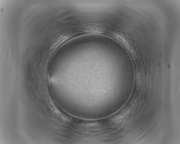 X0000087360433200704201151