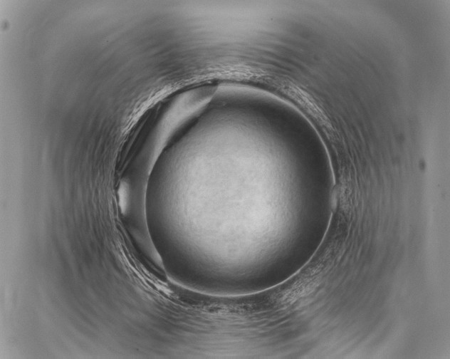 X0000087360434200704201151