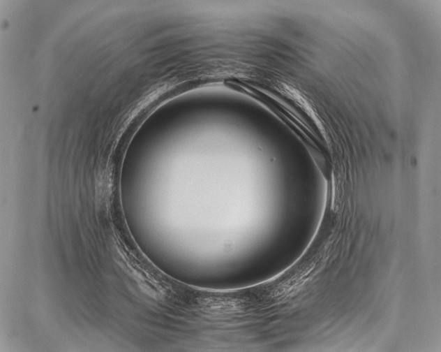 X0000087360435200704201151