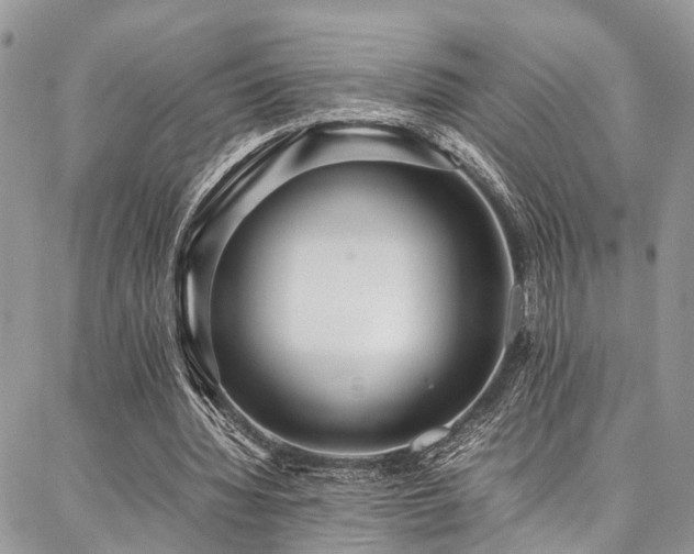 X0000087360436200704201151