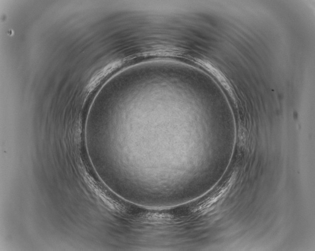 X0000087360437200704201151