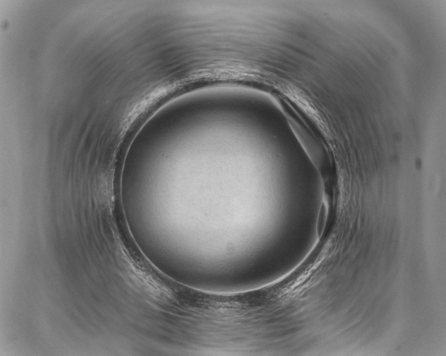 X0000087360438200704201151