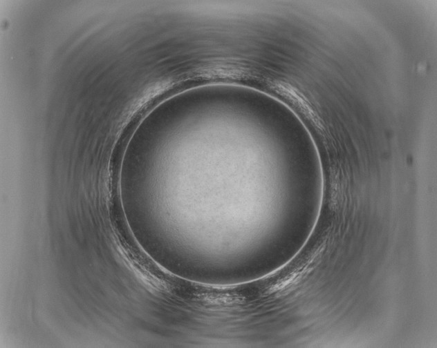 X0000087360439200704201151