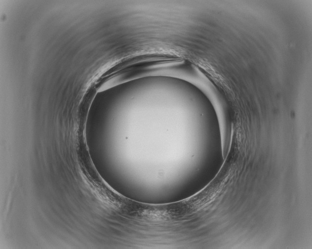 X0000087360440200704201151
