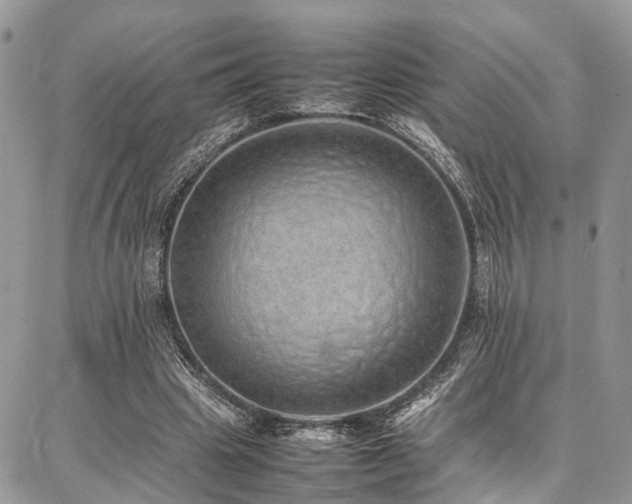 X0000087360441200704201151
