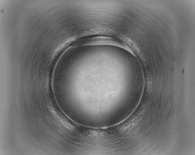 X0000087360442200704201151