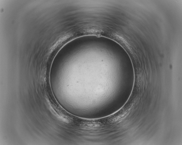 X0000087360443200704201151