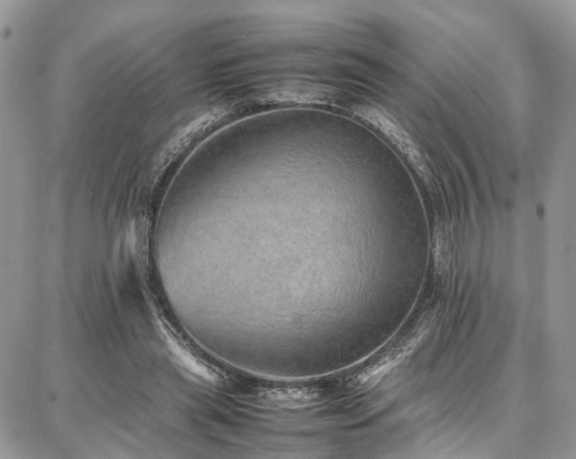 X0000087360445200704201151
