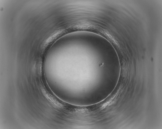 X0000087360446200704201151