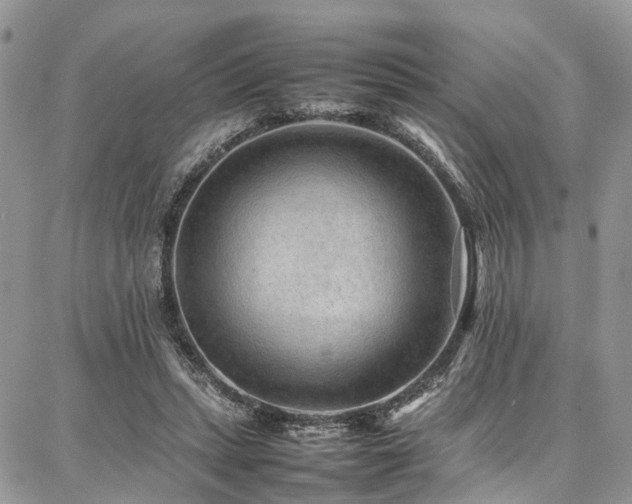 X0000087360447200704201151