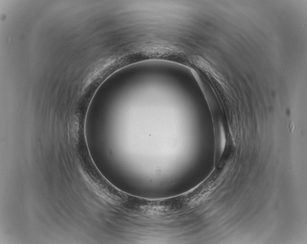 X0000087360448200704201151