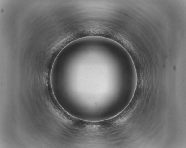 X0000087360450200704201151