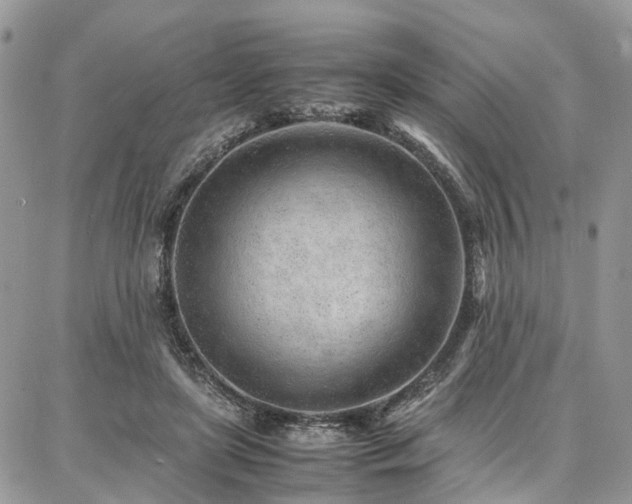 X0000087360451200704201151