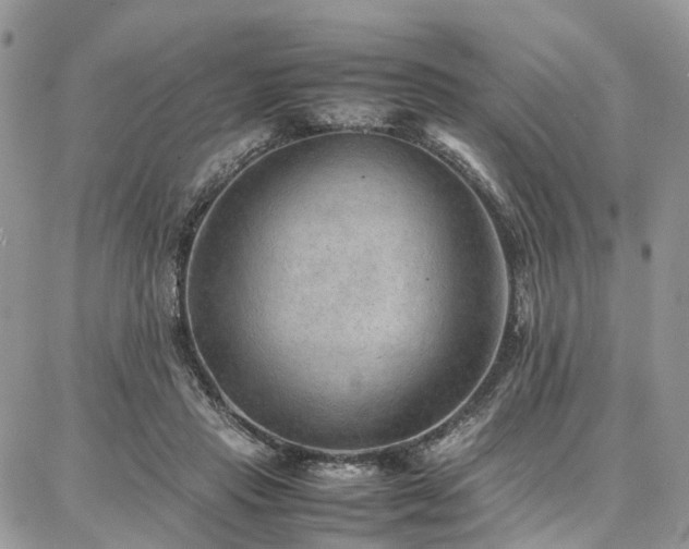 X0000087360453200704201151