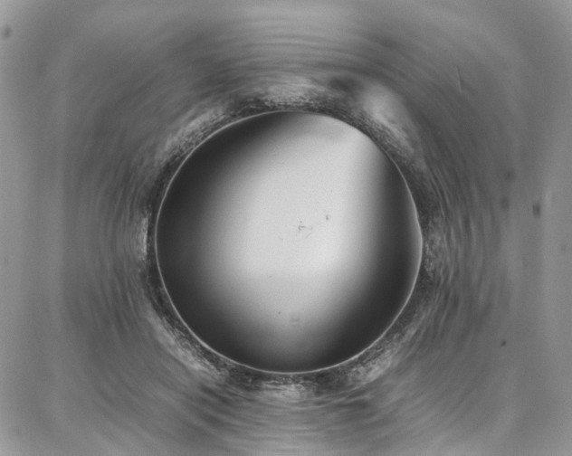 X0000087360454200704201151