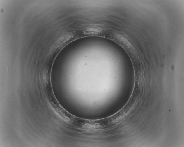 X0000087360455200704201151