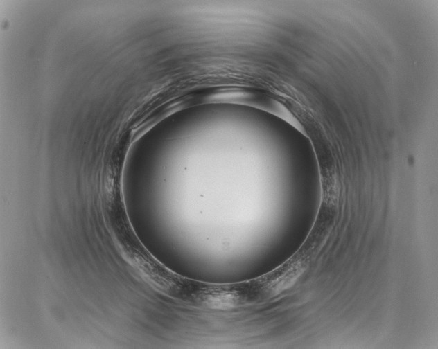 X0000087360456200704201151