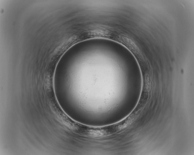 X0000087360457200704201151
