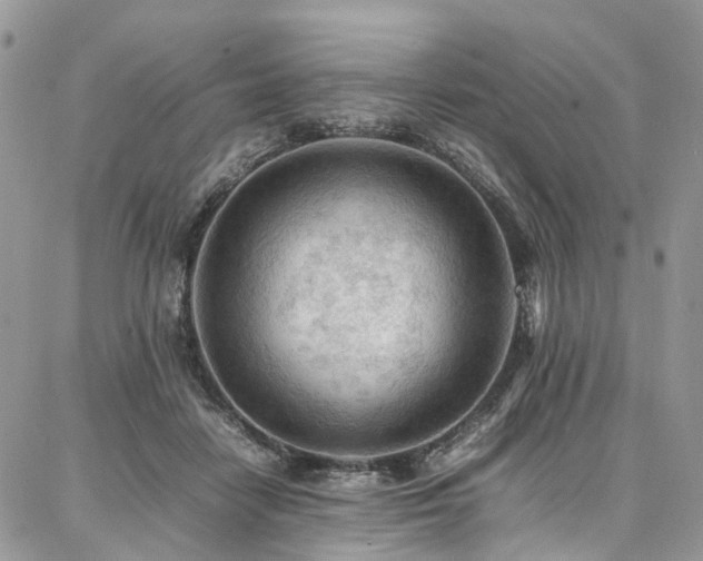 X0000087360458200704201151