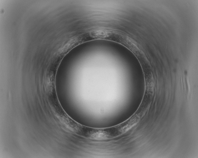 X0000087360460200704201151