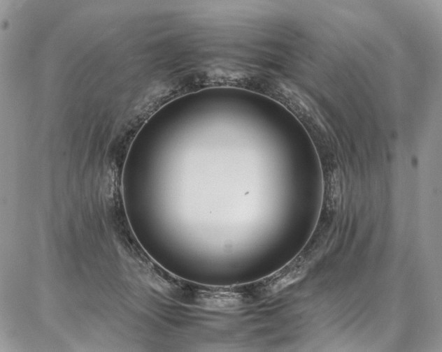 X0000087360463200704201151
