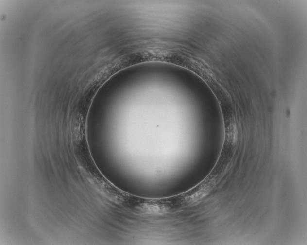 X0000087360464200704201151