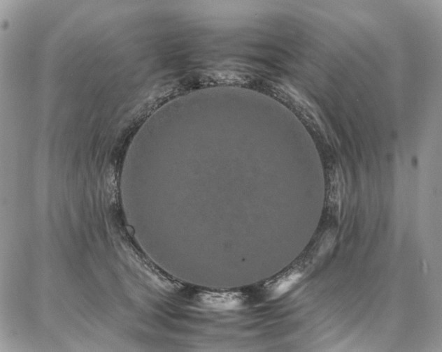X0000087360465200704201151