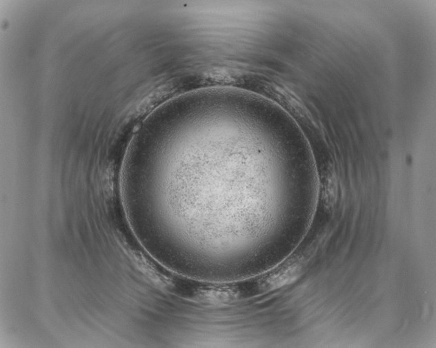 X0000087360466200704201151