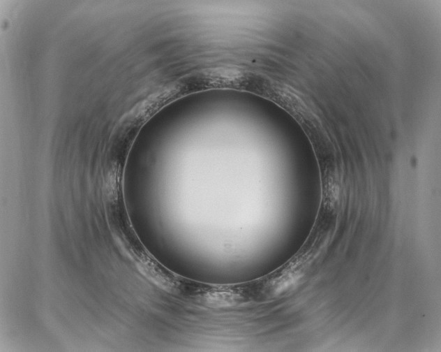 X0000087360468200704201151