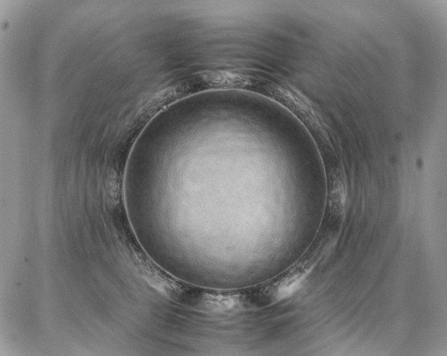 X0000087360469200704201151