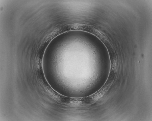 X0000087360470200704201152