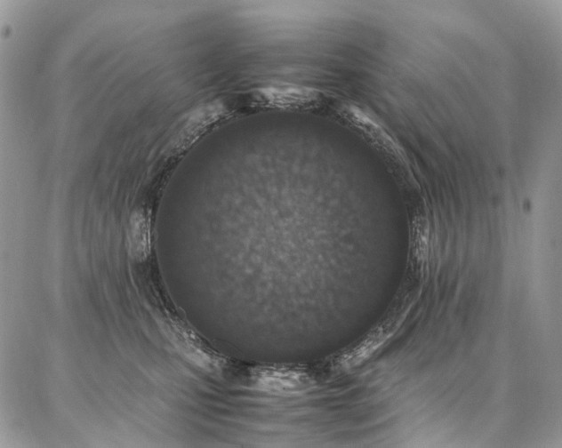 X0000087360471200704201152