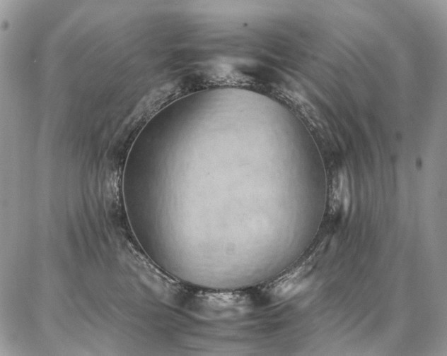 X0000087360473200704201152