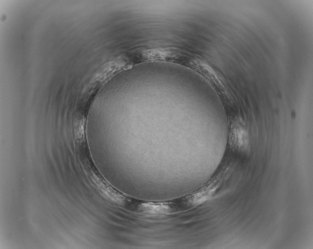X0000087360477200704201152
