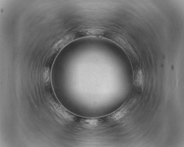 X0000087360478200704201152