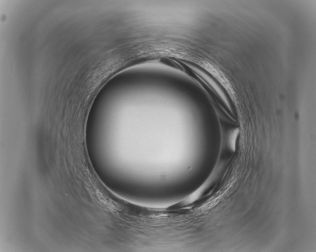 X0000087360481200704201151